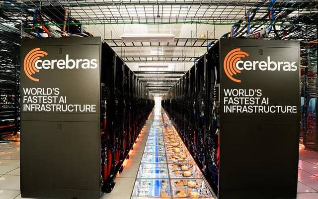 Ceribra Systems shares fall despite revenue outlook boost