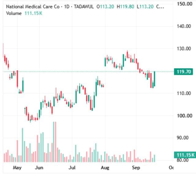 Raya share stays above support levels
