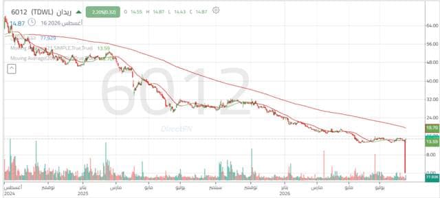 Reidan's stock seeks stable levels after record low