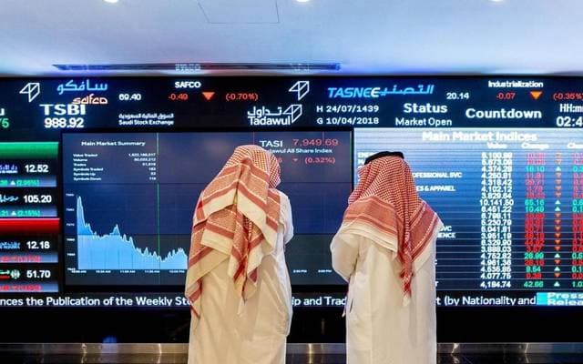 Saudi authority probes 2025 offerings