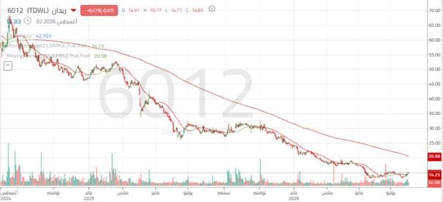 Reedan's shares recover slightly after hitting historic low