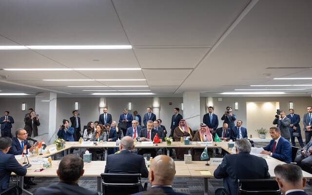 دول عربية ودولية تعبر عن قلقها من معاناة غزة