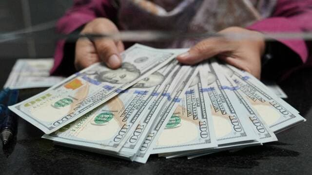 Dollar nears two-week high on rate hike expectations