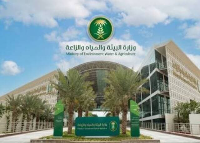 Ministry presents 3 investment options