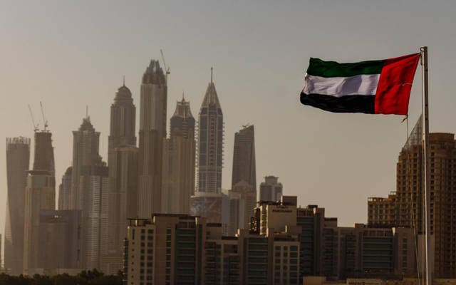 الإمارات تبحث تقديم 5 آلاف ميجاواط لنيجيريا