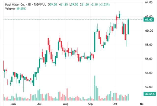 Naqi's share rebounds ahead of key resistances