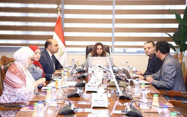 Egypt Implements EPR System for Producers