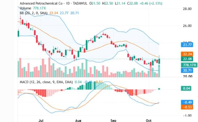 Al-Mutakhassissa stock rebounds from lows