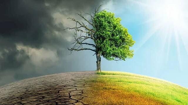 Global renewables see record growth
