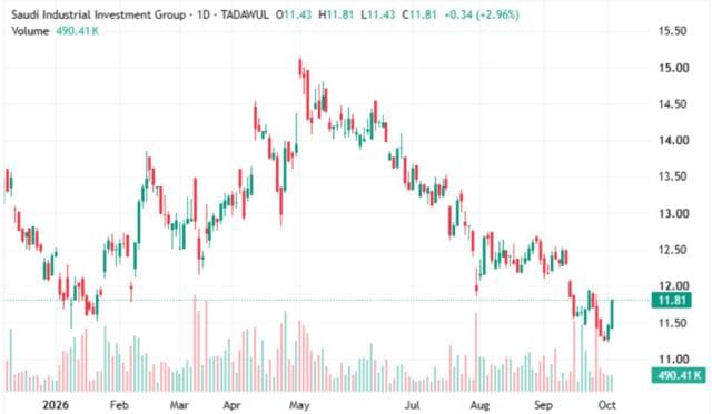 Saudi Group shares stabilize after sharp decline