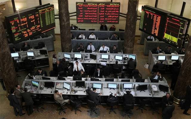 مينا فارم تحقق أرباح الربع الأول