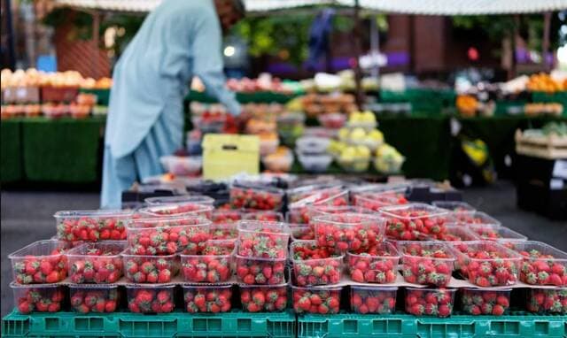 الفاو: ارتفاع أسعار الغذاء العالمية إلى أعلى مستوى منذ 2022