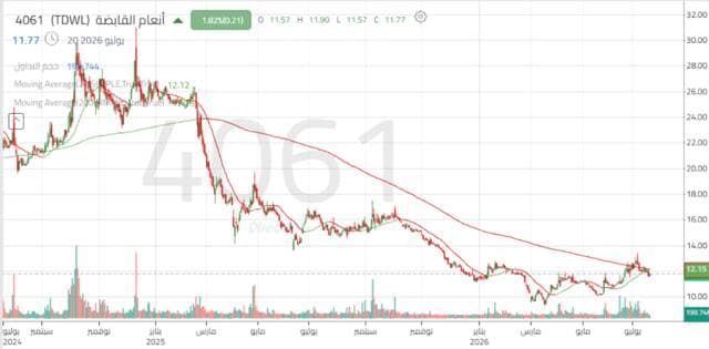 Anam Holding share stability pending confirmation
