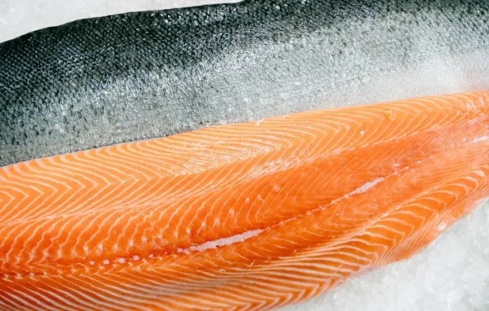Eleven foods with higher protein than eggs