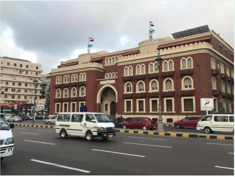 Egyptian doctor sentenced over hospital claims