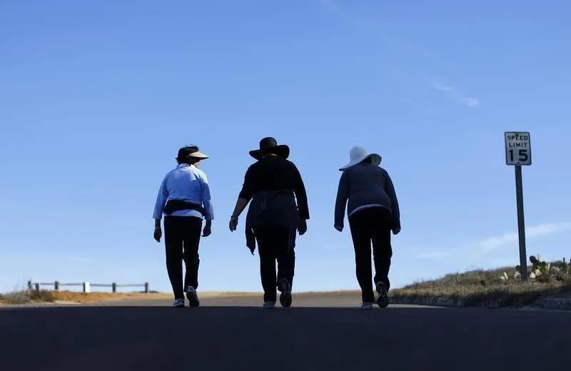 Effect of Daily Walking on Cholesterol Levels in the Body