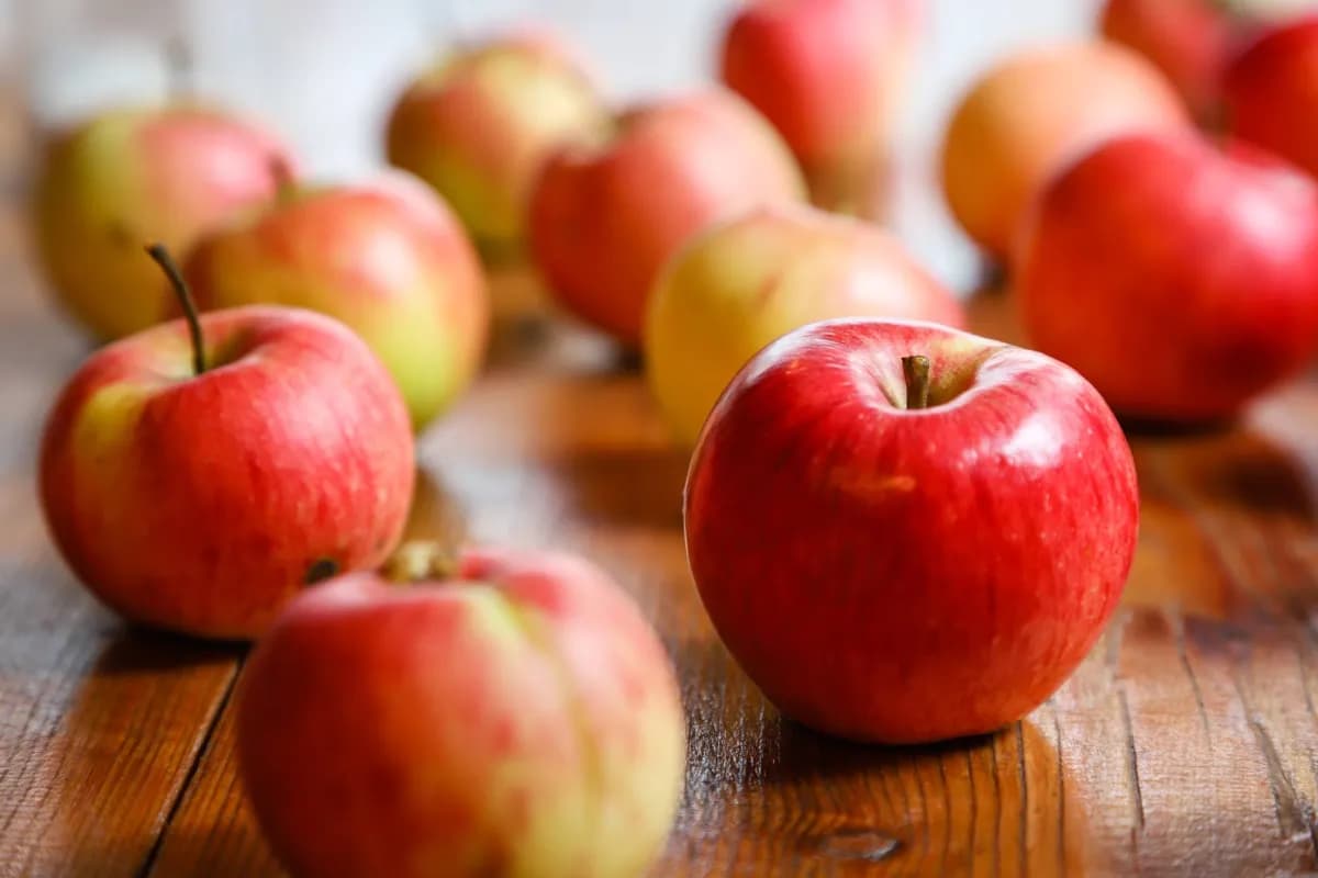 Foods and drinks for lung health