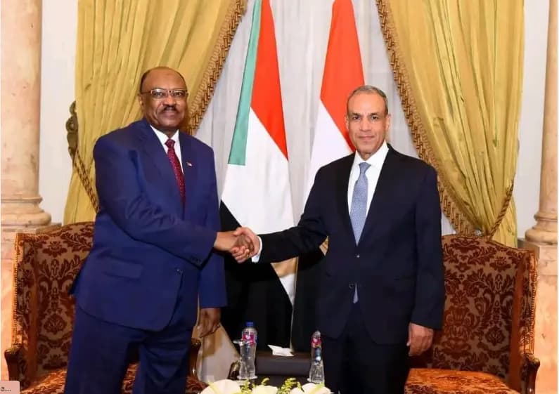 Egypt urges unity in Sudan's peace process