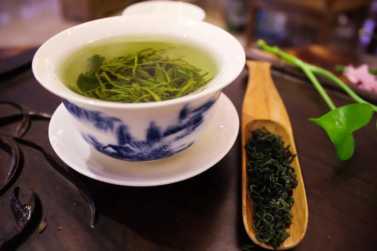 Best 5 drinks for kidney health