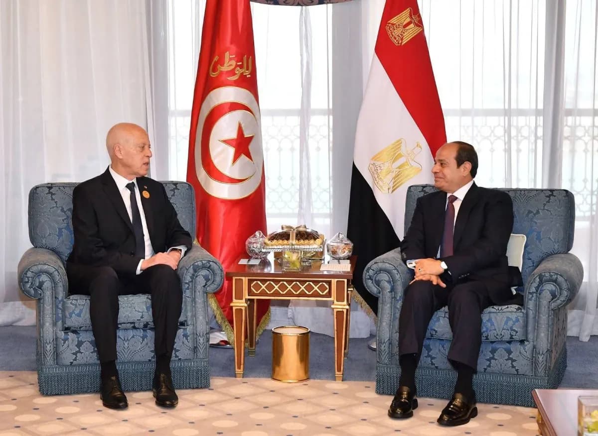 Al-Sisi and Seif to coordinate regional strategies