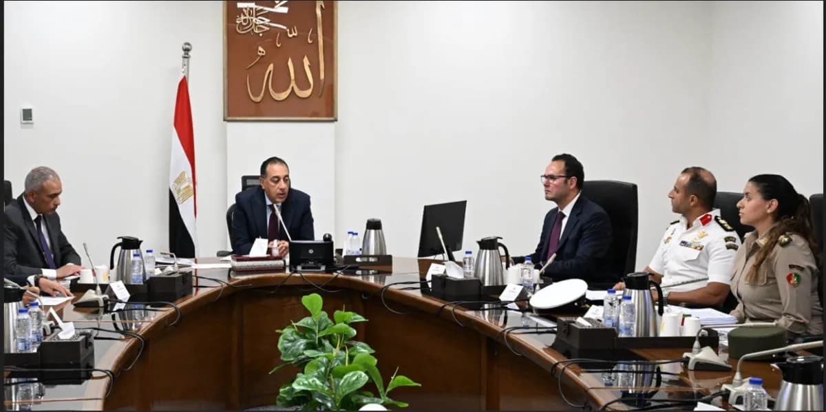 مصر تسعى لمواجهة الكلاب الضالة