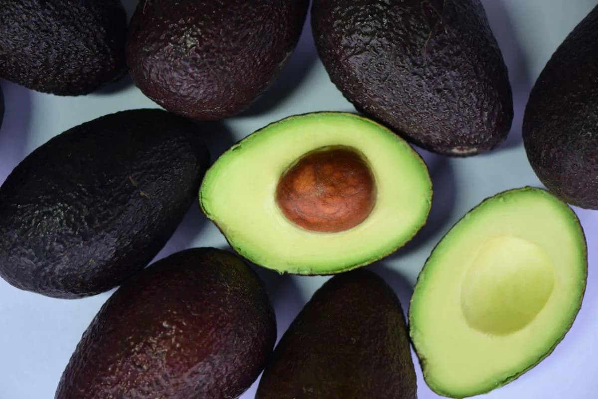 Avocado Benefits for Heart Patients