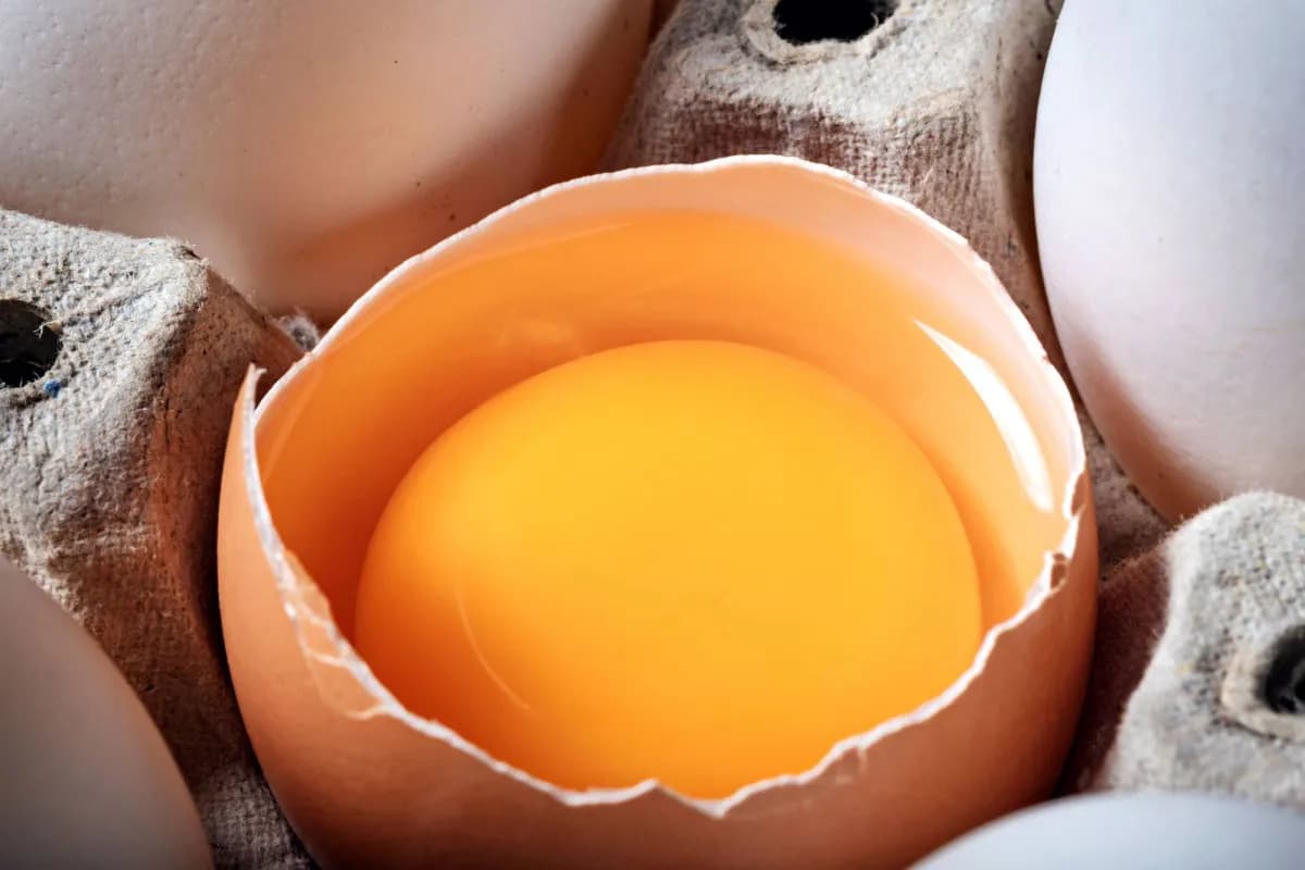 Eating 5 eggs weekly linked to lower Alzheimer’s risk