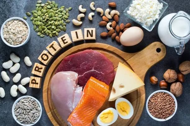 Excessive protein intake and lifespan