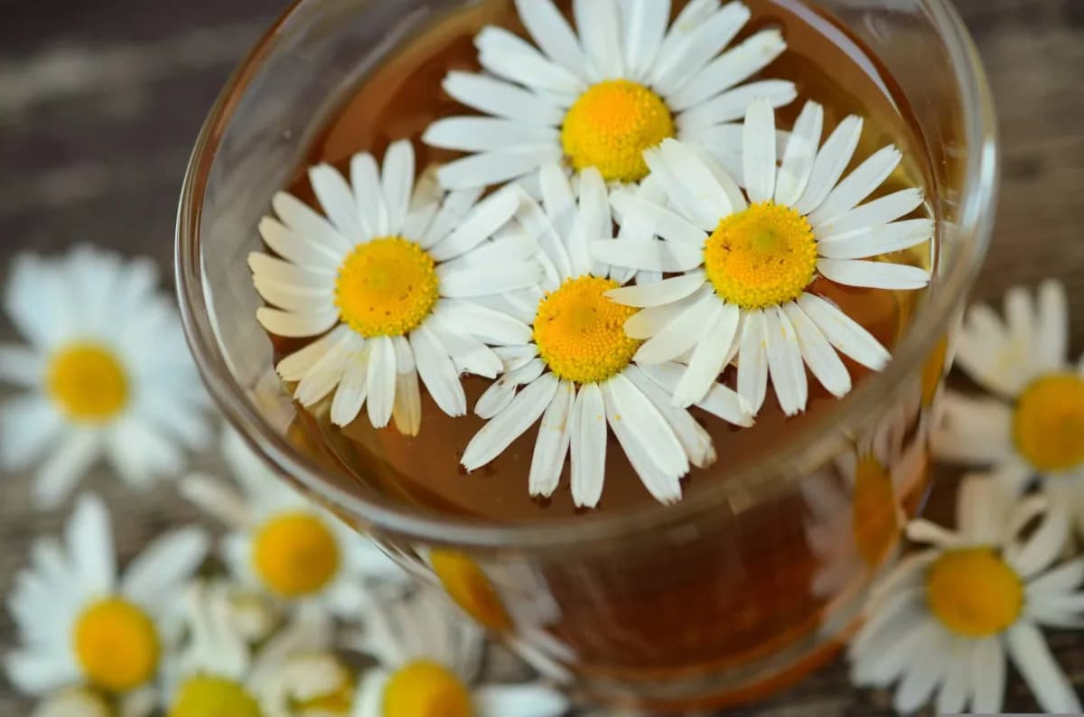 Six bedtime drinks to boost blood sugar