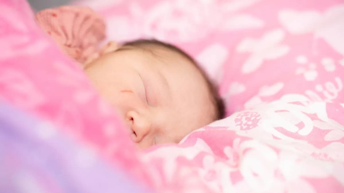 Pre-pregnancy diet impacts father's influence on baby's health