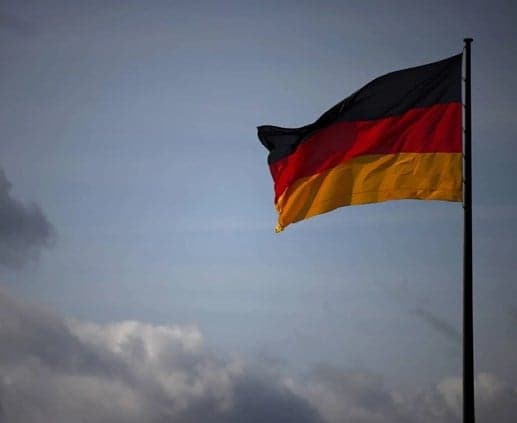 German politician resigns over surrogacy