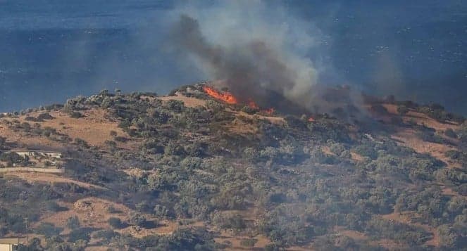 Greek police arrest Israeli over forest fire