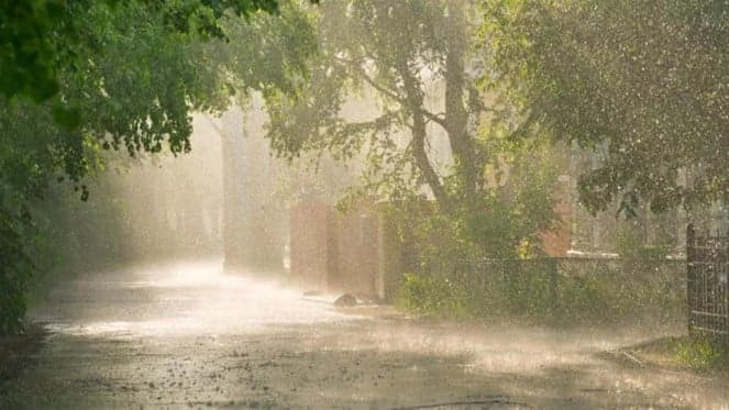 Rain expected in July