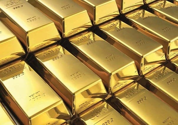 Boy Finds 40 Gold Ingots
