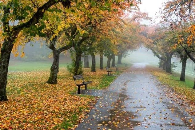 Lebanon Temperatures Rise Ahead of Rain