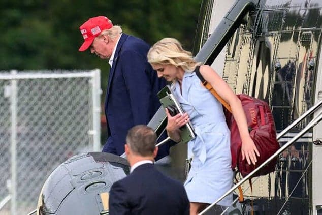 Revealed messages between Trump and Harb