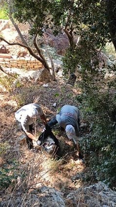 BUMC Organizes Shouf Cleanup