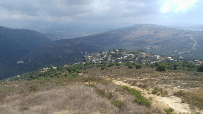 Deir Mimas Municipality Alerts Against Olive Grove Visits