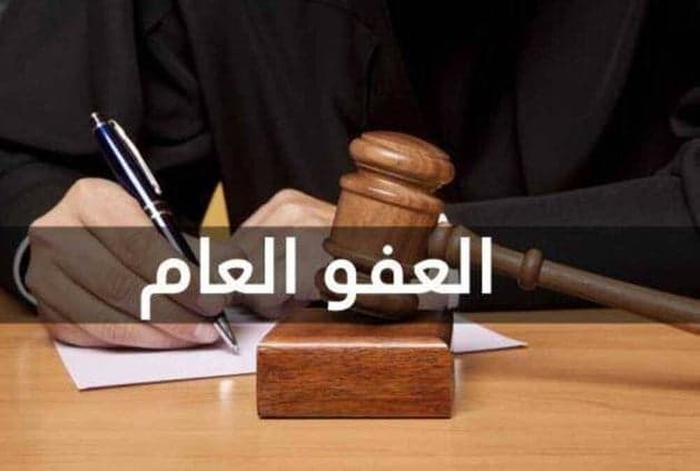 Public Prosecutor's Office on Amnesty Law