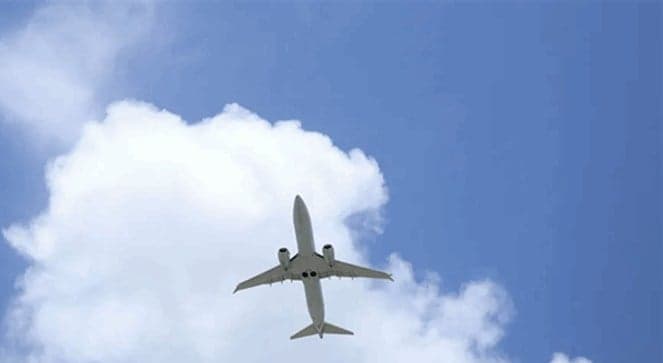 Death on a Flight Incident