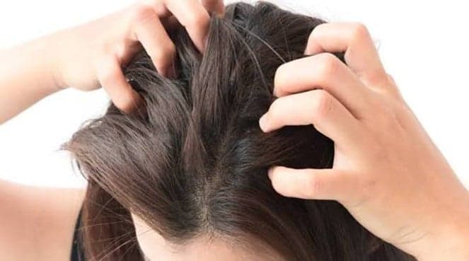 Nighttime scalp itching causes