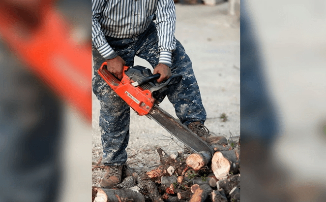 Fuel crisis triggers forest conflicts