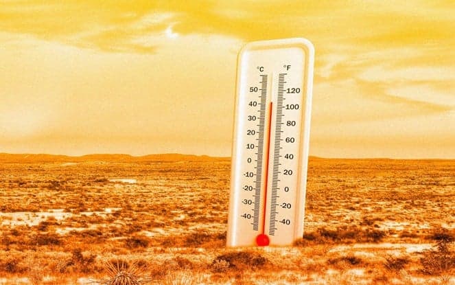 After rains, August heat returns
