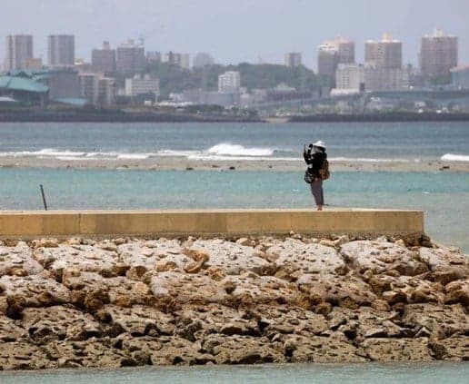 Japanese Meteorological Agency forecasts ongoing El Niño through winter