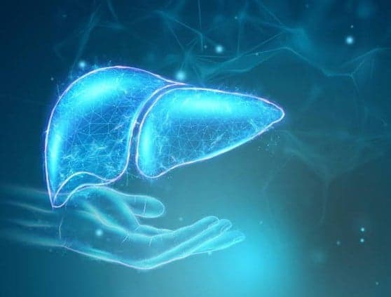 tayyar.org - Coffee and Tomatoes Reveal Liver Benefits