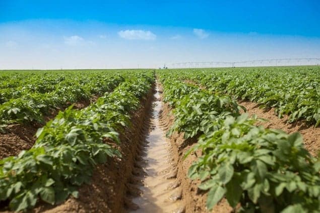 Farm tragedy claims man and son's lives