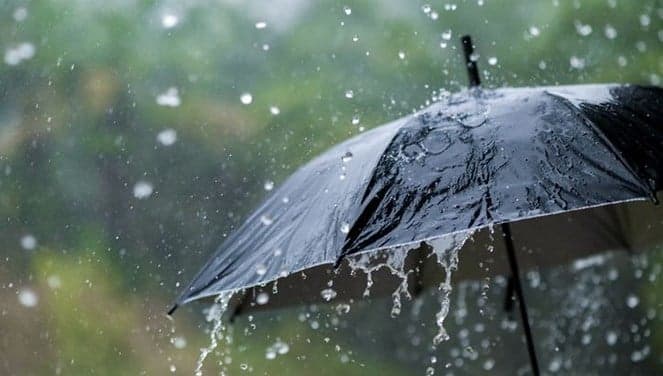 Rain forecast for this weekend