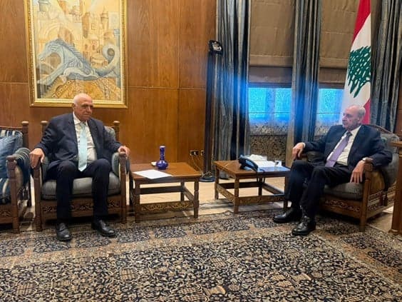 Journalists' Syndicate Head Discusses Media Law with President Berri
