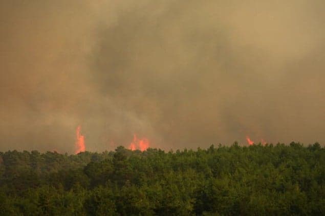 Spain Declares National Emergency