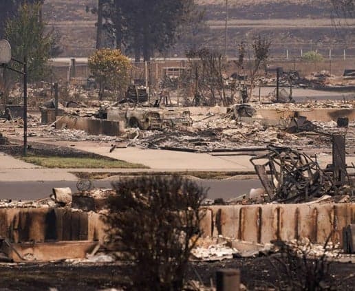 Man detained over Washington forest fire